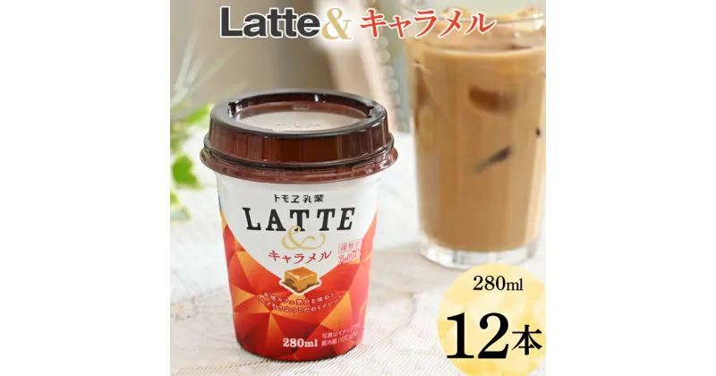 【ふるさと納税】Latte＆　キャラメル　12本 ※着日指定不可| ラテ ラテアンド カフェラテ キャラメルラテ 牛乳 ともえ トモエ トモエ乳業 トモヱ乳業 贈答 ギフト 贈り物 プレゼント ご褒美 記念品 簡単 便利 カップドリンク ドリンク 飲料 おいしい _DT06