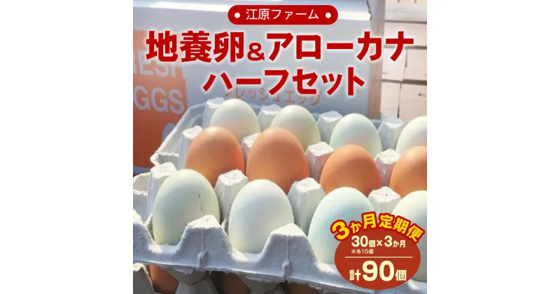 【ふるさと納税】【定期便3か月】江原ファーム　地養卵＆アローカナハーフセット（30個） 着日指定不可 卵 定期便 30個 玉子 たまご タマゴ 生卵 鶏卵 産みたて アローカナ 地養卵 食べ比べ 新鮮 濃厚 健康 青い卵 TKG 国産 ギフト 贈答 贈り物 お歳暮 プレゼント 直送 _AG19