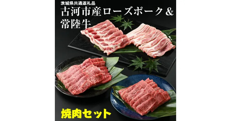 【ふるさと納税】古河市産ローズポーク＆常陸牛『焼肉セット』〈茨城県共通返礼品〉 肉 牛肉 豚肉 国産 ブランド 冷凍 BBQ 焼肉 小分け 牛バラ 豚バラ カルビ ロース 牛モモロース 肩ロース 食べ比べ バラ 詰め合わせ ギフト 贈答 贈り物 お中元 お歳暮 プレゼント _AD10