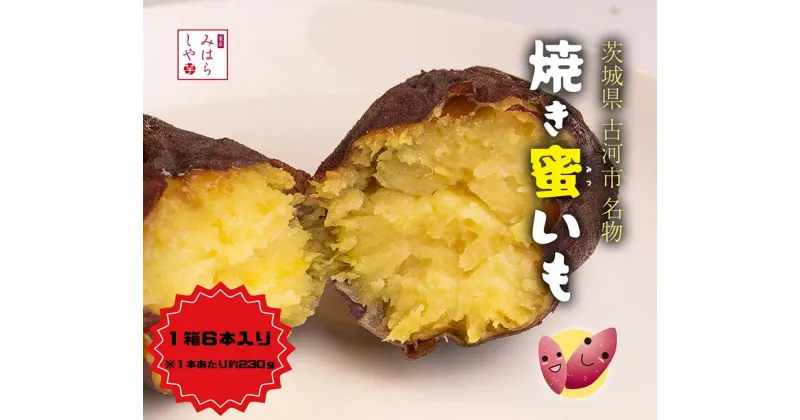 【ふるさと納税】【スイーツのような甘さ】焼き蜜いも（1箱6本入り） | 芋 いも さつまいも 焼芋 やきいも イモ ヤキイモ 甘い おやつ スイーツ 菓子 お菓子 健康 食物繊維 野菜 おいしい ねっとり しっとり 冷凍 茨城県 古河市 送料無料 ギフト 贈答 プレゼント _DP12