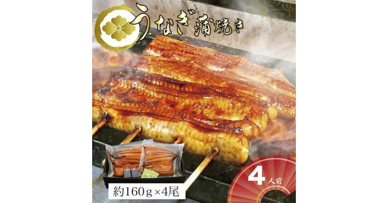 【ふるさと納税】＼レビューキャンペーン／うなぎ蒲焼4人前（1人前約160g×4）贈答用パッケージ ｜ うなぎ 鰻 ウナギ 640グラム 国産 かば焼き 蒲焼き 蒲焼 うな重 ひつまぶし たれ 山椒 人気 おすすめ 取り寄せ お取り寄せ グルメ 惣菜 贈答 お歳暮 御歳暮 古河市 _AT21