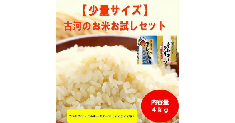 【ふるさと納税】【新米】古河のお米お試しセット（コシヒカリ・ミルキークイーン各2kg）｜米 コメ こめ ごはん ご飯 ゴハン 白飯 単一米 国産 コシヒカリ こしひかり ミルキークイーン 食べ比べ お試し 2kg×2 4kg 茨城県 古河市 着日指定可 _DP13