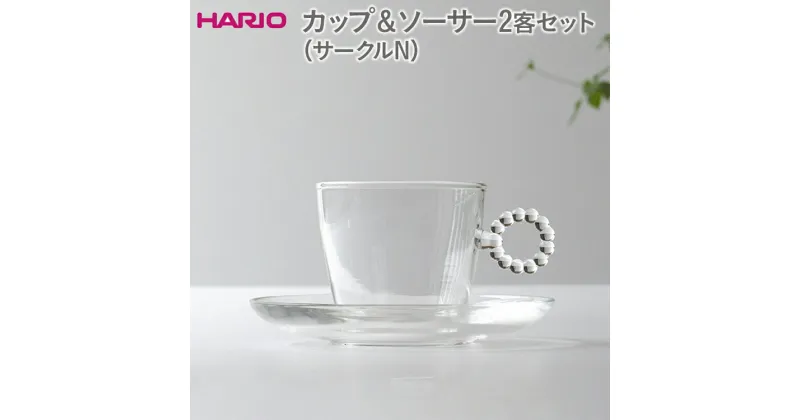 【ふるさと納税】＼レビューキャンペーン／HARIO カップ＆ソーサー 2客セット「サークルN」シリーズ［HTW-CS-C-N］｜ハリオ 耐熱 ガラス 食器 器 キッチン 日用品 キッチン用品 日本製 おしゃれ かわいい 紅茶 茶 カップ ソーサー 2客_DL21