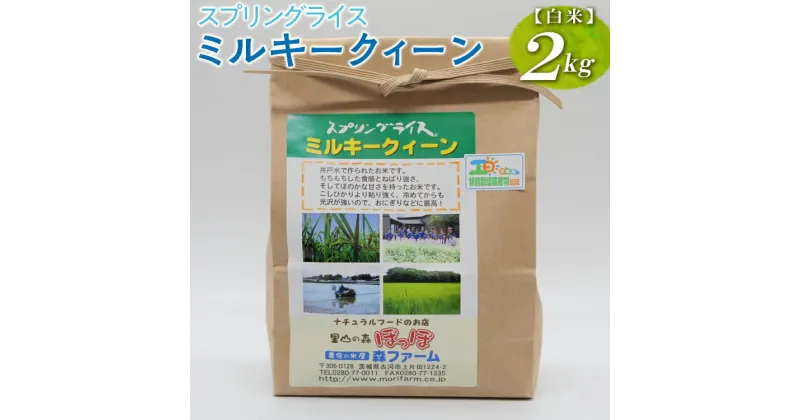 【ふるさと納税】【新米】スプリングライス ミルキークィーン (白米)2kg｜米 コメ こめ ごはん ご飯 ゴハン 白飯 スプリング ライス ミルキー クイーン 水 こだわり 地下水 2kg 贈答 白米 精米_BI21※着日指定不可