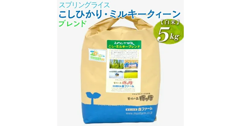 【ふるさと納税】【新米】スプリングライス こしひかり・ミルキークィーン ブレンド (白米)5kg｜米 コメ こめ ごはん ご飯 ゴハン 白飯 スプリング ライス コシヒカリ ミルキー クイーン ブレンド 水へのこだわり 地下水 5kg 贈答 白米 精米_BI27※着日指定不可