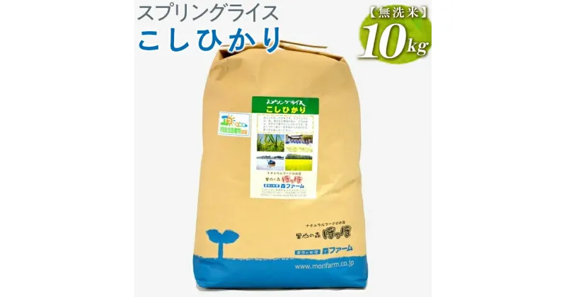 【ふるさと納税】【新米】スプリングライス こしひかり (無洗米)10kg｜米 コメ こめ ごはん ご飯 ゴハン 白飯 スプリング ライス コシヒカリ 水へのこだわり 地下水 10kg 贈答 無洗米_BI40※着日指定不可