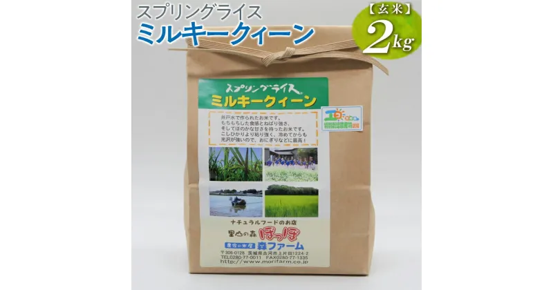 【ふるさと納税】【新米】スプリングライス ミルキークィーン (玄米)2kg｜米 コメ こめ ごはん ご飯 ゴハン 白飯 スプリング ライス ミルキー クイーン 水へのこだわり 地下水 2kg 贈答 玄米 ビタミン ミネラル 食物繊維_BI61※着日指定不可