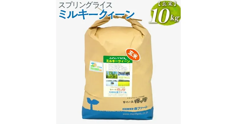 【ふるさと納税】【新米】スプリングライス ミルキークィーン (玄米)10kg｜米 コメ こめ ごはん ご飯 ゴハン 白飯 スプリング ライス ミルキー クイーン 水へのこだわり 地下水 10kg 贈答 玄米 ビタミン ミネラル 食物繊維_BI63※着日指定不可