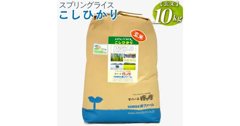 【ふるさと納税】【新米】スプリングライス こしひかり (玄米)10kg｜米 コメ こめ ごはん ご飯 ゴハン 白飯 スプリング ライス コシヒカリ 水へのこだわり 地下水 10kg 贈答 玄米 ビタミン ミネラル 食物繊維_BI67※着日指定不可