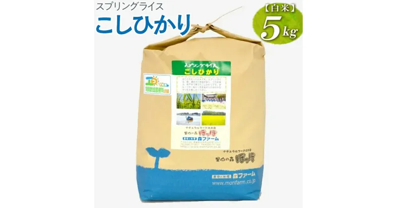 【ふるさと納税】【新米】スプリングライス こしひかり (白米)5kg｜米 コメ こめ ごはん ご飯 ゴハン 白飯 スプリング ライス コシヒカリ 水へのこだわり 地下水 5kg 贈答 白米 精米_BI25