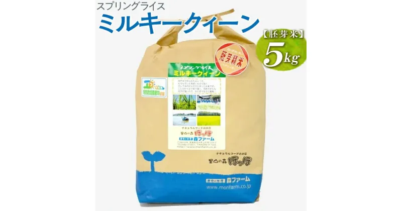 【ふるさと納税】【新米】スプリングライス ミルキークィーン (胚芽米) 5kg｜米 コメ こめ ごはん ご飯 ゴハン 白飯 スプリング ライス ミルキー クイーン 水 こだわり 地下水 5kg 贈答 胚芽 ビタミン ミネラル 食物繊維_BI47