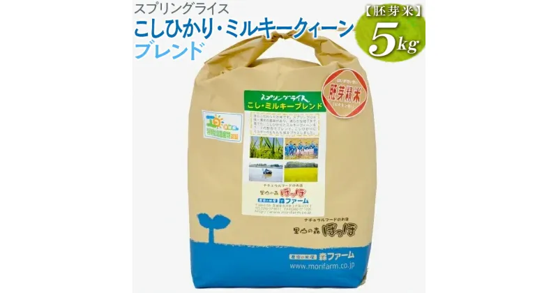 【ふるさと納税】【新米】スプリングライス こしひかり・ミルキークィーン ブレンド (胚芽米)5kg｜米 コメ こめ ごはん ご飯 ゴハン 白飯 スプリング ライス コシヒカリ ミルキー クイーン ブレンド 水へのこだわり 地下水 5kg 贈答 胚芽 ビタミン ミネラル _BI51