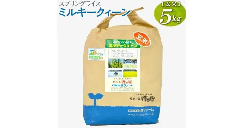 【ふるさと納税】【新米】スプリングライス ミルキークィーン (玄米) 5kg｜米 コメ こめ ごはん ご飯 ゴハン 白飯 スプリング ライス ミルキー クイーン 水 こだわり 地下水 5kg 贈答 玄米 ビタミン ミネラル 食物繊維_BI62