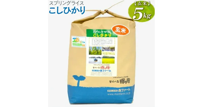 【ふるさと納税】【新米】スプリングライス こしひかり (玄米)5kg｜米 コメ こめ ごはん ご飯 ゴハン 白飯 スプリング ライス コシヒカリ 水へのこだわり 地下水 5kg 贈答 玄米 ビタミン ミネラル 食物繊維_BI66