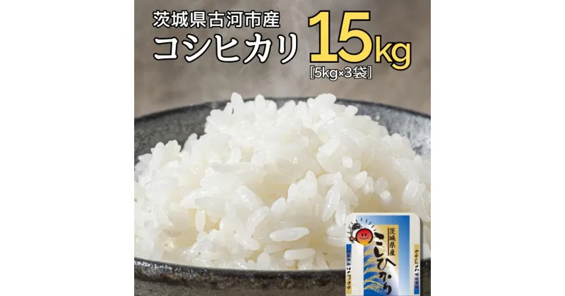 【ふるさと納税】【新米】令和6年産 古河市産コシヒカリ 15kg（5kg×3袋）｜米 コメ こめ ごはん ご飯 ゴハン 白飯 単一米 国産 コシヒカリ こしひかり 5kg×3 15kg 茨城県 古河市 着日指定可 _DP21