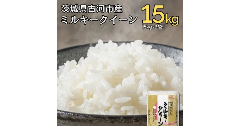 【ふるさと納税】【新米】令和6年産 古河市産ミルキークイーン 15kg（5kg×3袋）｜米 コメ こめ ごはん ご飯 ゴハン 白飯 単一米 国産 ミルキークイーン 5kg×3 15kg 茨城県 古河市 着日指定可 _DP22