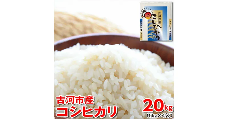 【ふるさと納税】【新米】令和6年産 古河市産 コシヒカリ 20kg（5kg×4袋）｜米 コメ こめ ごはん ご飯 ゴハン 白飯 単一米 国産 コシヒカリ こしひかり 5kg×4 20kg 茨城県 古河市 着日指定可 _DP24