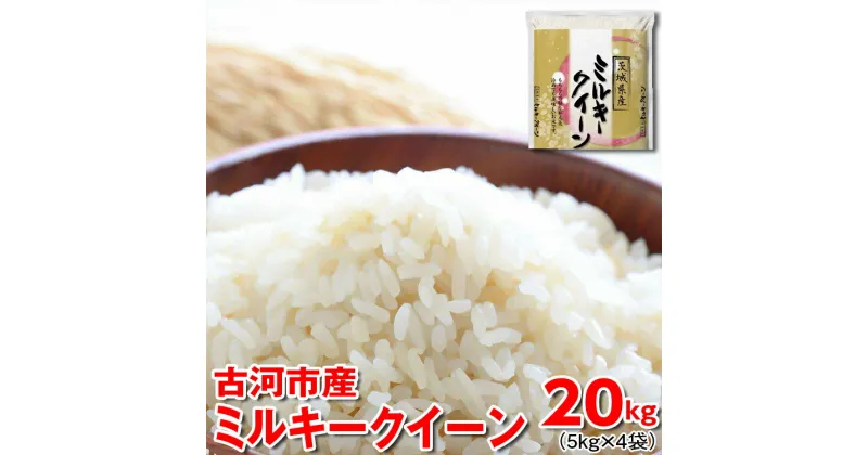 【ふるさと納税】【新米】令和6年産 古河市産 ミルキークイーン 20kg（5kg×4袋）｜米 コメ こめ ごはん ご飯 ゴハン 白飯 単一米 国産 ミルキークイーン 5kg×4 20kg 茨城県 古河市 着日指定可 _DP25