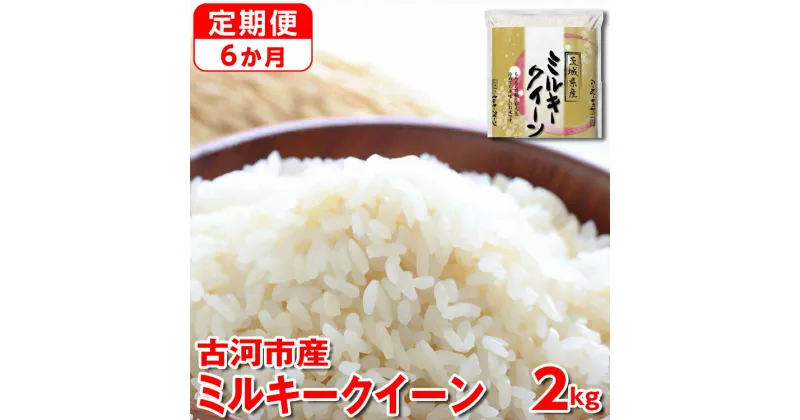 【ふるさと納税】【新米】【定期便 6か月】令和6年産 古河市産ミルキークイーン 2kg◇｜米 コメ こめ ごはん ご飯 ゴハン 白飯 単一米 国産 ミルキークイーン 2kg 定期便 6ヶ月 6回 茨城県 古河市_DP32