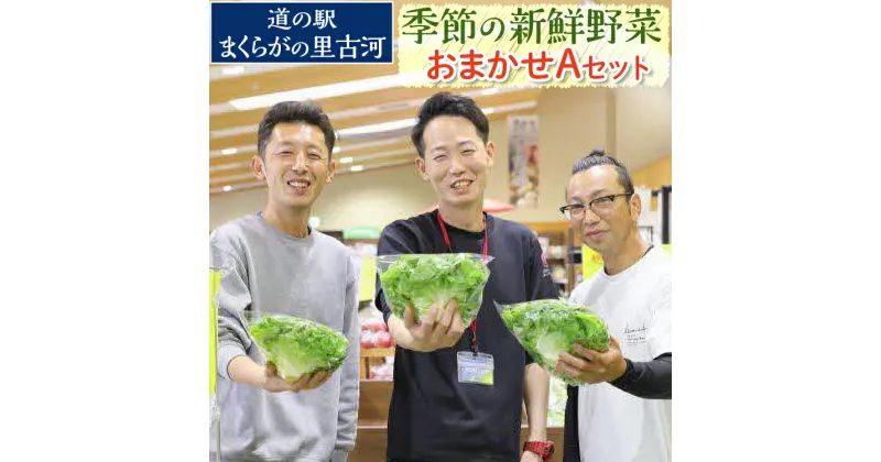 【ふるさと納税】道の駅まくらがの里古河　季節の新鮮野菜おまかせAセット ※北海道・沖縄・離島への配送不可 | 野菜 詰合せ 詰め合わせ セット アソート 新鮮 道の駅 人気 ギフト 贈答 贈り物 プレゼント お中元 お歳暮 茨城県 古河市 直送 産地直送 _BQ03