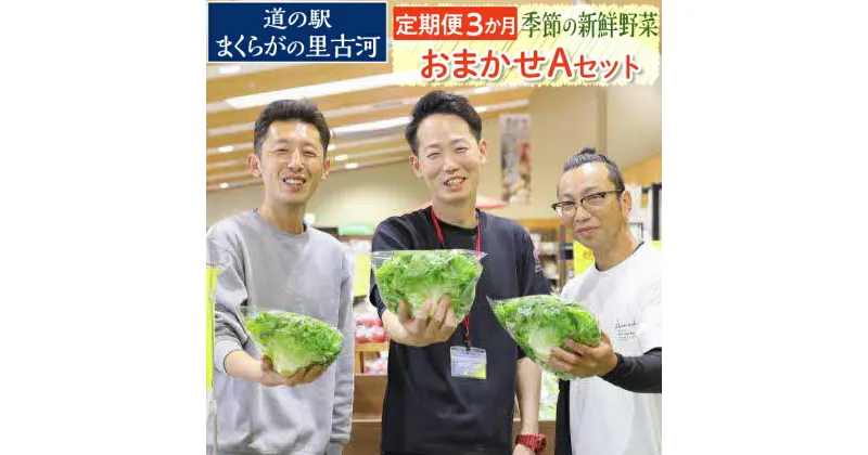 【ふるさと納税】【定期便3か月】道の駅まくらがの里古河　季節の新鮮野菜おまかせAセット ※北海道・沖縄・離島への配送不可 | 野菜 詰合せ 詰め合わせ セット アソート 新鮮 道の駅 人気 ギフト 贈答 贈り物 プレゼント お中元 お歳暮 茨城県 古河市 直送 _BQ05