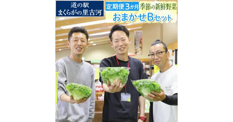 【ふるさと納税】【定期便3か月】道の駅まくらがの里古河　季節の新鮮野菜おまかせBセット ※北海道・沖縄・離島への配送不可 | 野菜 詰合せ 詰め合わせ セット アソート 新鮮 道の駅 人気 ギフト 贈答 贈り物 プレゼント お中元 お歳暮 茨城県 古河市 直送 農家直送 _BQ06