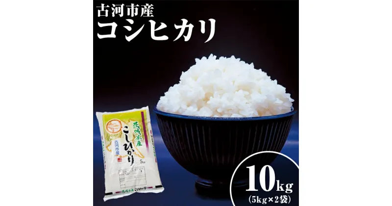 【ふるさと納税】令和6年産 新米 10kg 関東平野で育った古河市産コシヒカリ 10kg (5kg×2袋) | こめ 米 コメ こしひかり 10キロ 古河市産 茨城県産 _DG02 ※北海道・沖縄・離島への配送不可