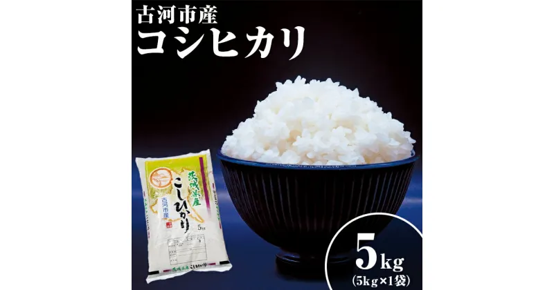 【ふるさと納税】令和6年産 新米 5kg 関東平野で育った古河市産コシヒカリ 5kg (5kg×1袋) | こめ 米 コメ こしひかり 5キロ 古河市産 茨城県産 _DG03 ※北海道・沖縄・離島への配送不可