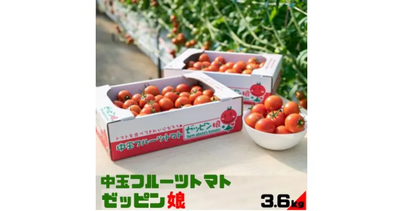 【ふるさと納税】中玉フルーツトマト「ゼッピン娘」1.8kg×2箱（計3.6kg） 希少な品種 華おとめ 甘い　 野菜 茨城県産 結城市産 ゼッピン娘 華おとめ 中玉品種 皮が薄い 薄皮 子供 お年寄り サラダ 前菜 食材 料理 　お届け：2024年11月上旬～2025年6月上旬