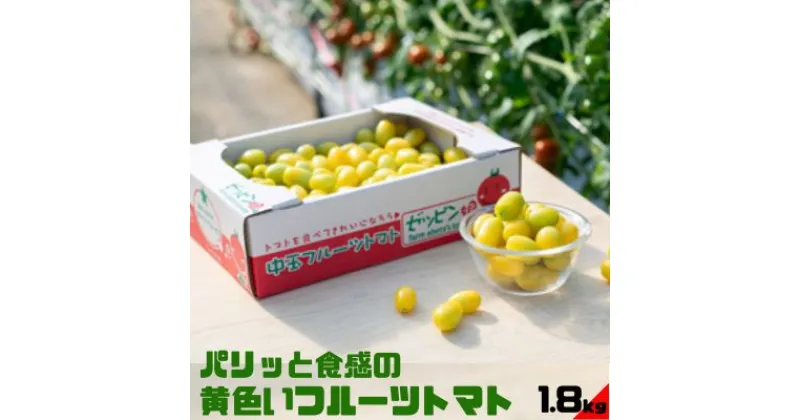 【ふるさと納税】パリッと食感の黄色いフルーツトマト「ティポ」1.8kg（1箱）ジャム さっぱり 黄色い トマト　 野菜 茨城県産 結城市産 国産 さっぱり 酸味が少ない 日持ち ジャム 食材 サラダ トッピング 料理 　お届け：2024年11月上旬～2025年6月上旬