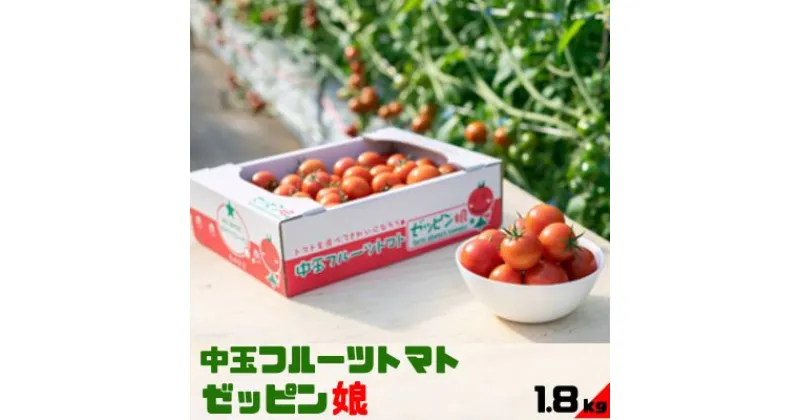 【ふるさと納税】中玉フルーツトマト「ゼッピン娘」1.8kg（1箱） 希少な品種 華おとめ 甘い　 野菜 茨城県産 結城市産 ゼッピン娘 華おとめ 中玉品種 皮が薄い 薄皮 子供 お年寄り サラダ 前菜 食材 料理 　お届け：2024年11月上旬～2025年6月上旬