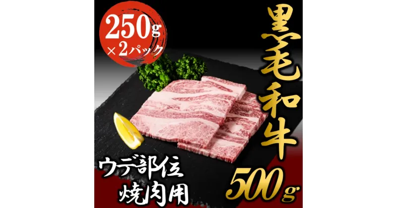 【ふるさと納税】黒毛和牛 焼肉用 500g （250g×2パック） 国産 お肉 和牛 牛 精肉 食品　 牛肉 バーベキュー 食材 グルメ 肉料理 牛スライス おうち焼肉 赤身部位 ミスジ