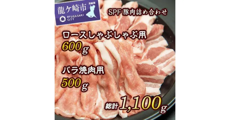 【ふるさと納税】常陽牧場SPF豚肉詰め合わせ (豚ロースしゃぶしゃぶ用 300g×2パック、豚バラ焼肉用 500g×1パック) | 茨城県 龍ケ崎市 国産 豚 SPF豚 豚肉 焼肉 バーベキュー しゃぶしゃぶ 肉 にく ポーク 人気 お取り寄せグルメ お取り寄せ グルメ おすすめ 1206475