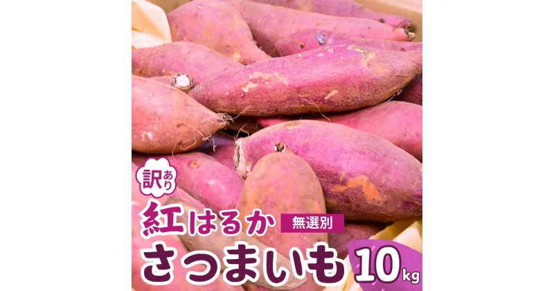 【ふるさと納税】【訳あり】無選別のさつまいも(紅はるか)10kg | 茨城県 龍ケ崎 サツマイモ 国産 おすすめ 人気 根野菜 べにはるか 紅はるか ホクホク 天ぷら 大学芋 お菓子作り 煮物 焼き芋 特産品 農家 産地直送 旬 訳あり 無選別 いも 芋