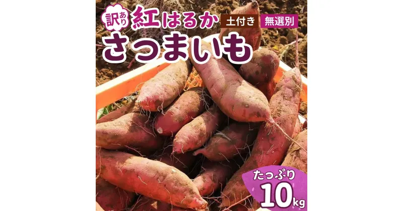 【ふるさと納税】【訳あり】無選別+土付きのさつまいも(紅はるか)10kg | 茨城県 龍ケ崎 サツマイモ 国産 おすすめ 人気 根野菜 べにはるか 紅はるか ホクホク 天ぷら 大学芋 お菓子作り 煮物 焼き芋 特産品 農家 産地直送 旬 訳あり 無選別 いも 芋 土付き 泥付き つち付き