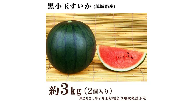 【ふるさと納税】茨城県産黒小玉すいか約3kg（2個）先行予約【2025年7月上旬～7月下旬ごろ発送予定】小玉すいか スイカ フルーツ 果物 くだもの 西瓜