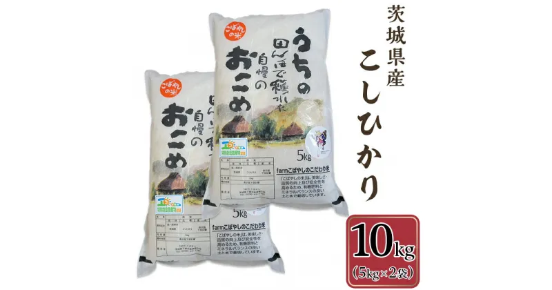 【ふるさと納税】茨城県産こしひかり10kg（5kg×2袋）米 お米 白米 精米 人気 おすすめ