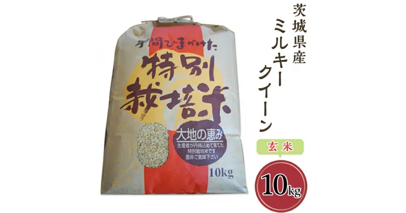 【ふるさと納税】58-3茨城県産ミルキークイーン（玄米）10kg 米 健康 お米 白米 精米 人気 おすすめ