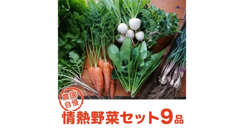 【ふるさと納税】農園自慢の情熱野菜セット（9品）