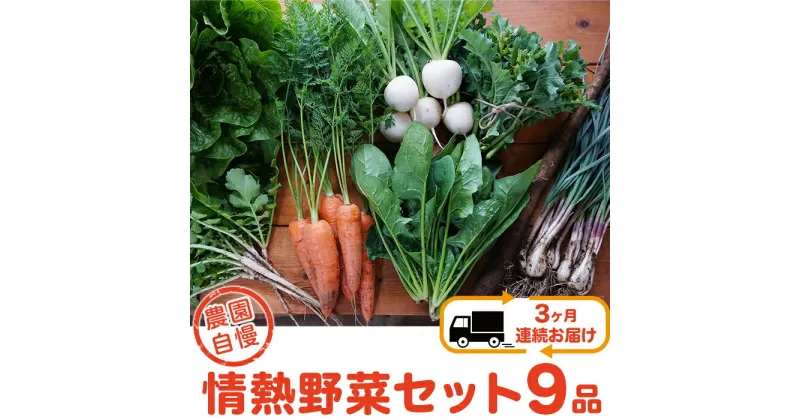 【ふるさと納税】【3ヶ月連続お届け】農園自慢の情熱野菜セット（9品）