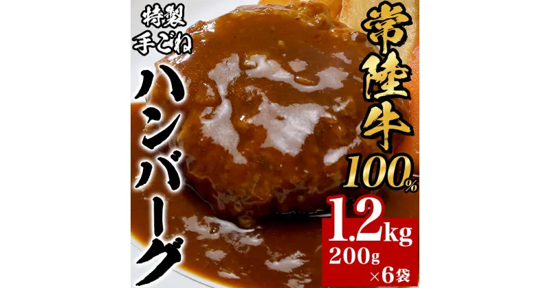 【ふるさと納税】黒毛和牛 66-4【常陸牛100%】特製手ごねハンバーグ1.2kg（200g×6袋）