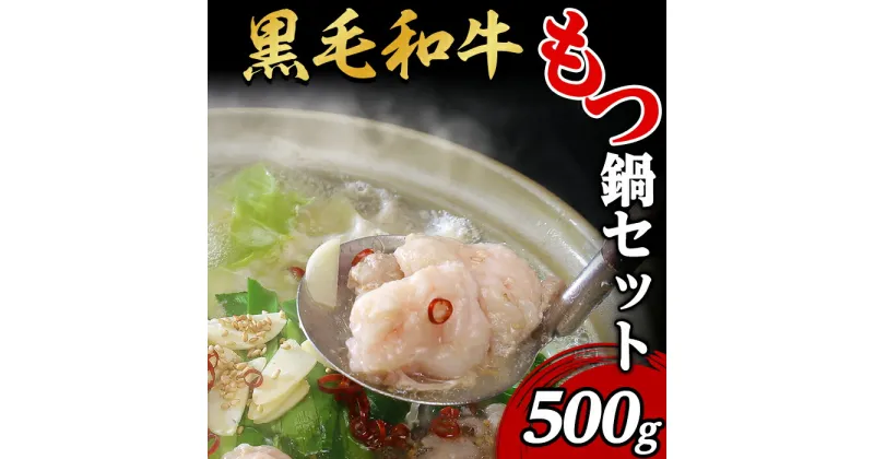 【ふるさと納税】66-7黒毛和牛もつ鍋セット500g