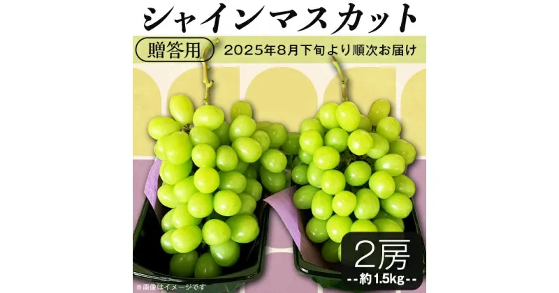 【ふるさと納税】【先行予約】シャインマスカット 2025年 先行予約 ぶどう フルーツ 甘い 大粒 2房 シャインマスカット2房（約1.5kg）贈答用【石崎ぶどう園】（2025年8月下旬から9月下旬頃発送予定）