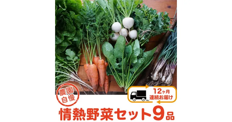 【ふるさと納税】【12ヶ月連続お届け】農園自慢の情熱野菜セット（9品）