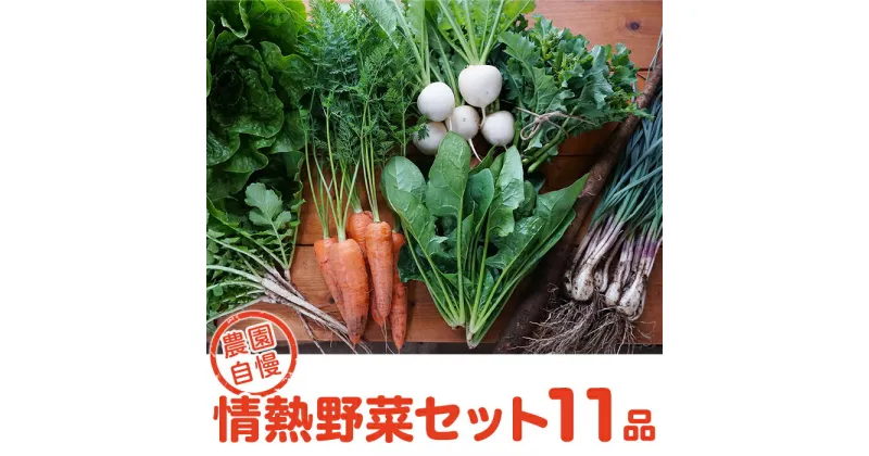 【ふるさと納税】農園自慢の情熱野菜セット（11品）