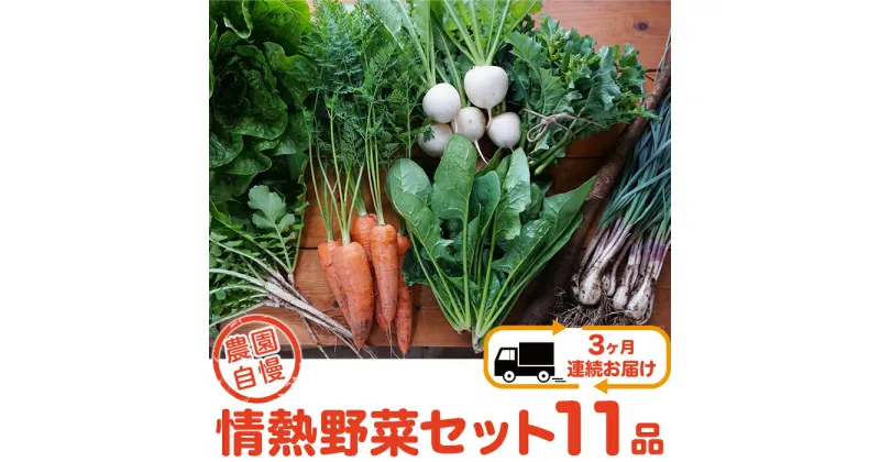 【ふるさと納税】【3ヶ月連続お届け】農園自慢の情熱野菜セット（11品）