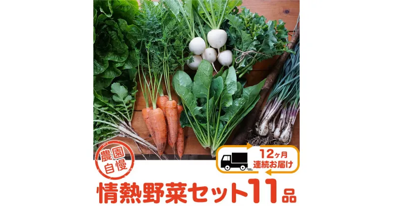 【ふるさと納税】【12ヶ月連続お届け】農園自慢の情熱野菜セット（11品）