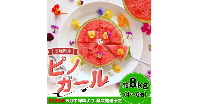 【ふるさと納税】茨城県産ピノガール約8kg（4～5個） 先行予約【2025年5月中旬～6月中旬ごろ発送予定】 茨城県産 フルーツ 果物 くだもの すいか スイカ 西瓜