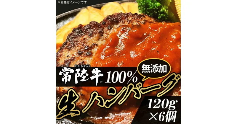 【ふるさと納税】牛肉 黒毛和牛 常陸牛 ハンバーグ 冷凍 国産 贅沢 生ハンバーグ120g×6個【常陸牛】100％