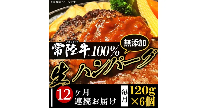 【ふるさと納税】定期便 12回 牛肉 黒毛和牛 常陸牛 ハンバーグ 冷凍 国産 贅沢 生ハンバーグ120g×6個【常陸牛】100％【12ヶ月連続お届け】